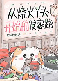 烧火丫头成正妻