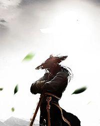 医武狂兵秦风