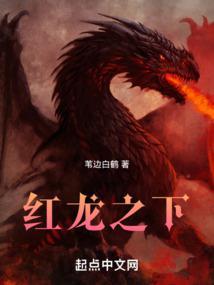 红龙之下全文TXT