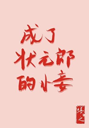 成了状元郎的小妾全文阅读