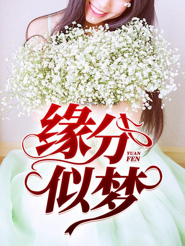 缘分似梦宋阳第15章免费阅读