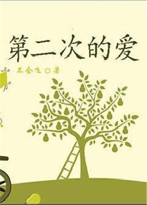 第二次的爱情完整版免费观看