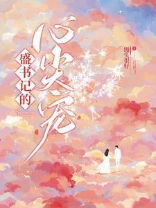 盛书记的心尖宠免费