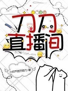 刀刀游戏解说