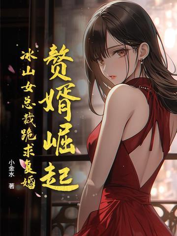 冰山总裁的赘婿秦浩