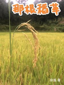 一根稻草故事
