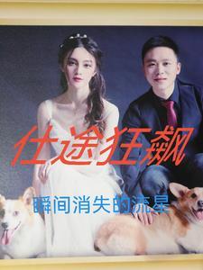 仕途狂飙 第23章王斯宇