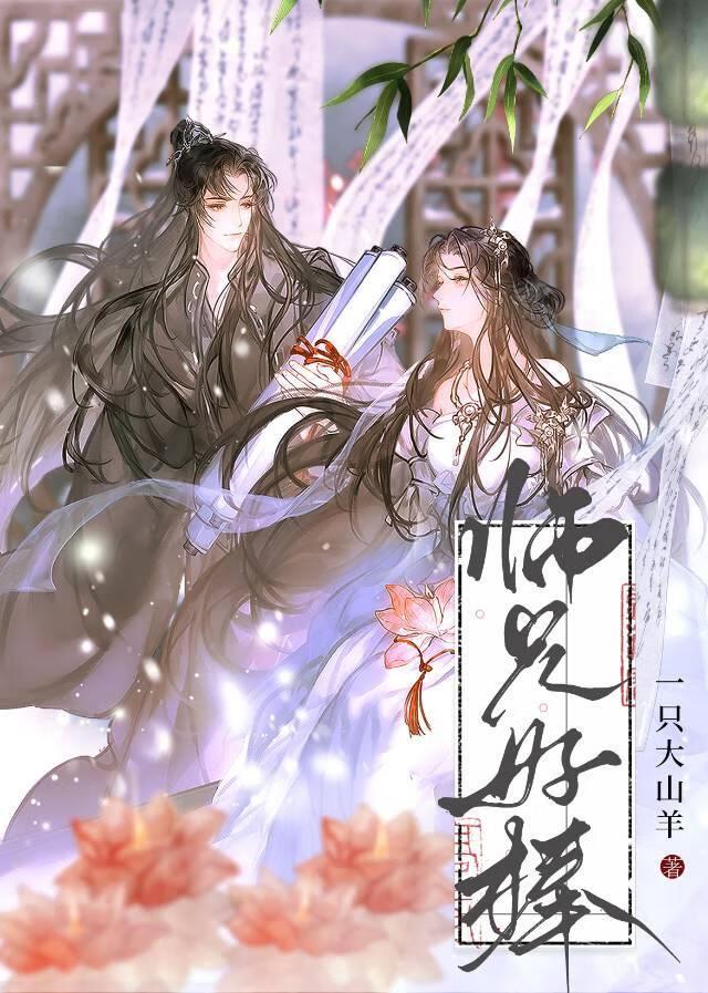 师兄你真棒
