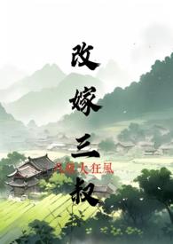 改嫁三叔八级大狂风笔趣阁