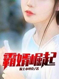 霸婿崛起叶辰苏昀晴