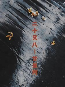 二十又一是什么意思