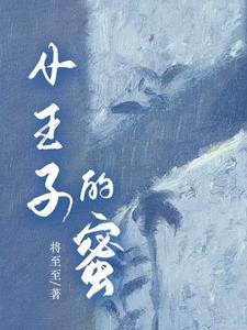 小王子中的